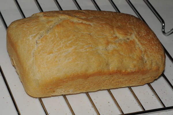 Big Loaf
                  of 9x5" Bred Pan Baked