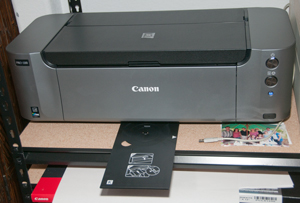 Canon Pro-100 Printer DVD slide