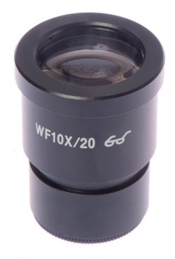 Amscope
                    Eyepiece EP10x30 marked WF10x/20
