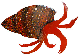 Paguroidea at Home Crab by Katie Gibbs