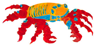 Sally Lightfoot Crab by Katie Gibbs