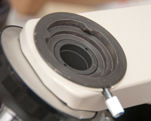 Labophot
                  Microscope w/o Polarizing Filter