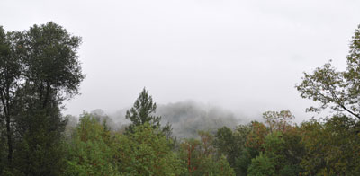 Ukiah, California
                  Mountain Mist view from front door