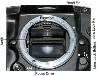 Nikon
                    Camera Body Lens Mount