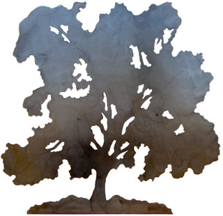 Oak 2019 Aug
                    12