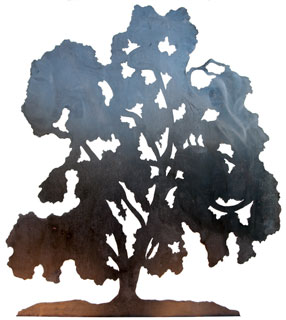 Oak 2019 Aug
                    13