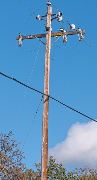 Brooke's Guide to Utility Poles