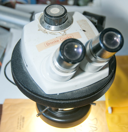 60 LED Adjustable Ring Light Illuminator B&L
                  SZ4 Microscope
