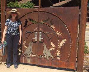 Yellow Caboose
                    Design