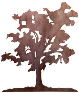 August 2021
                  Trees