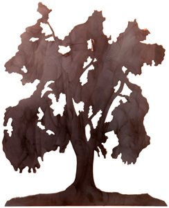 August 2021
                  Trees