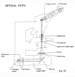 Nikon Labophot manual Fig 15 Optical Path