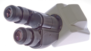 Nikon
                    Eclipse head (eyepiece tube) with Nikon CFI 10x/20
                    eyepieces