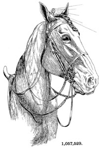 patent 1057529 Portable Electric Light for horse riding