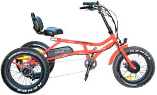 Addmotor MOTAN
                  M-360 Electric Fat Trike