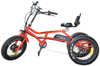 Addmotor MOTAN
                  M-360 Electric Fat Trike