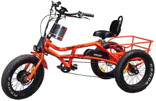 Addmotor MOTAN
                  M-360 Electric Fat Trike