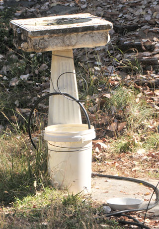 Bird Bath and 5 Gallon water bucket