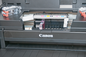 Canon
                      Pro-100 Printer Installation