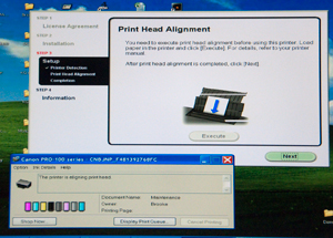 Canon
                      Pro-100 Printer Installation