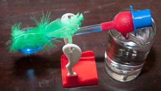 Drinking Bird