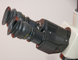 Nikon
                  Labophot CFW 10x eyepieces with 1-1/4" telescope
                  rubber eye guards