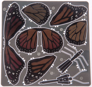 Metal Earth
              Monarch