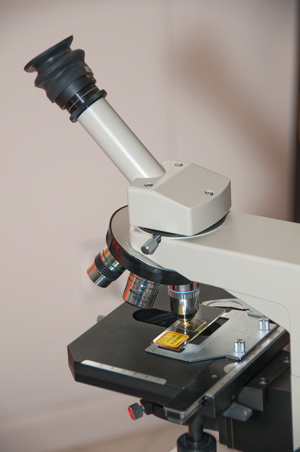 Nikon
                    Monocular Microscope Head