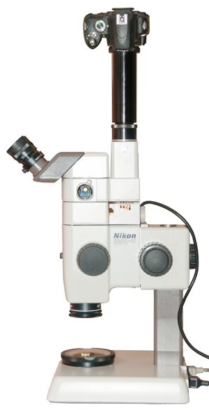 Nikon SMZ-U
                  Stereo Zoom Microscope + Plain Stand D + Coaxial
                  Episcopic Illuminator