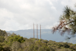 New
                            PG&E Metal transmission poles replaced
                            old wooden poles.