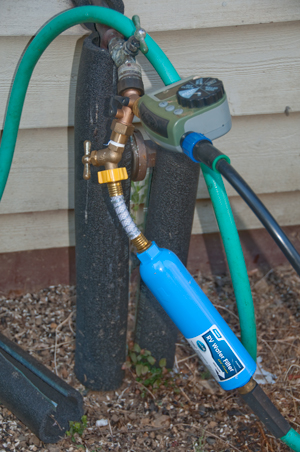 Recently added
                  an RV water filter to the hose bib that's used to fill
                  the pot & Pond