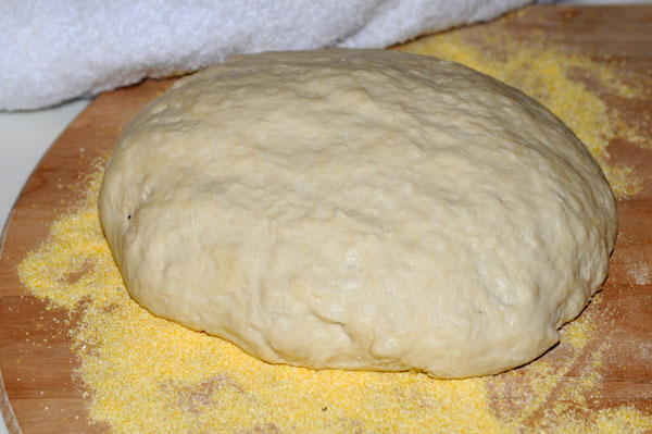 My first sourdough loaf
                    made without yeast, just bacteria from the flour
                    itself.