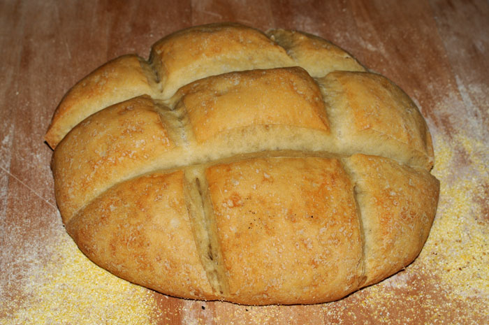 Sourdough mixed bacteria
                    & yeast