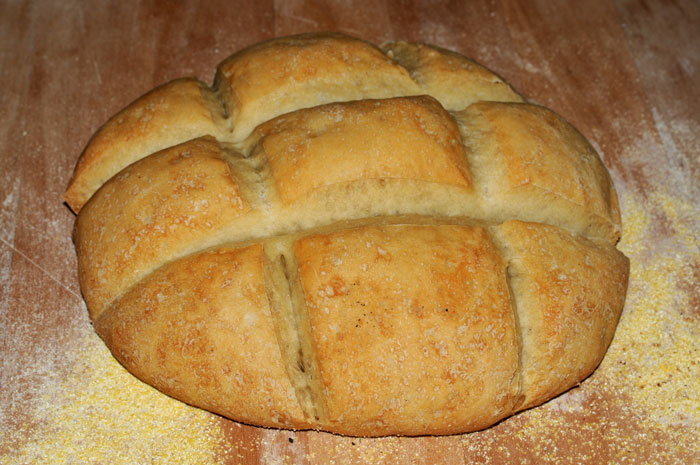 Sourdough mixed bacteria
                    & yeast