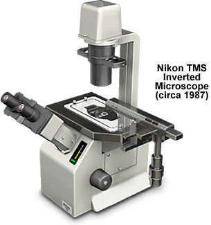 Nikon TMS Inverted Microscope